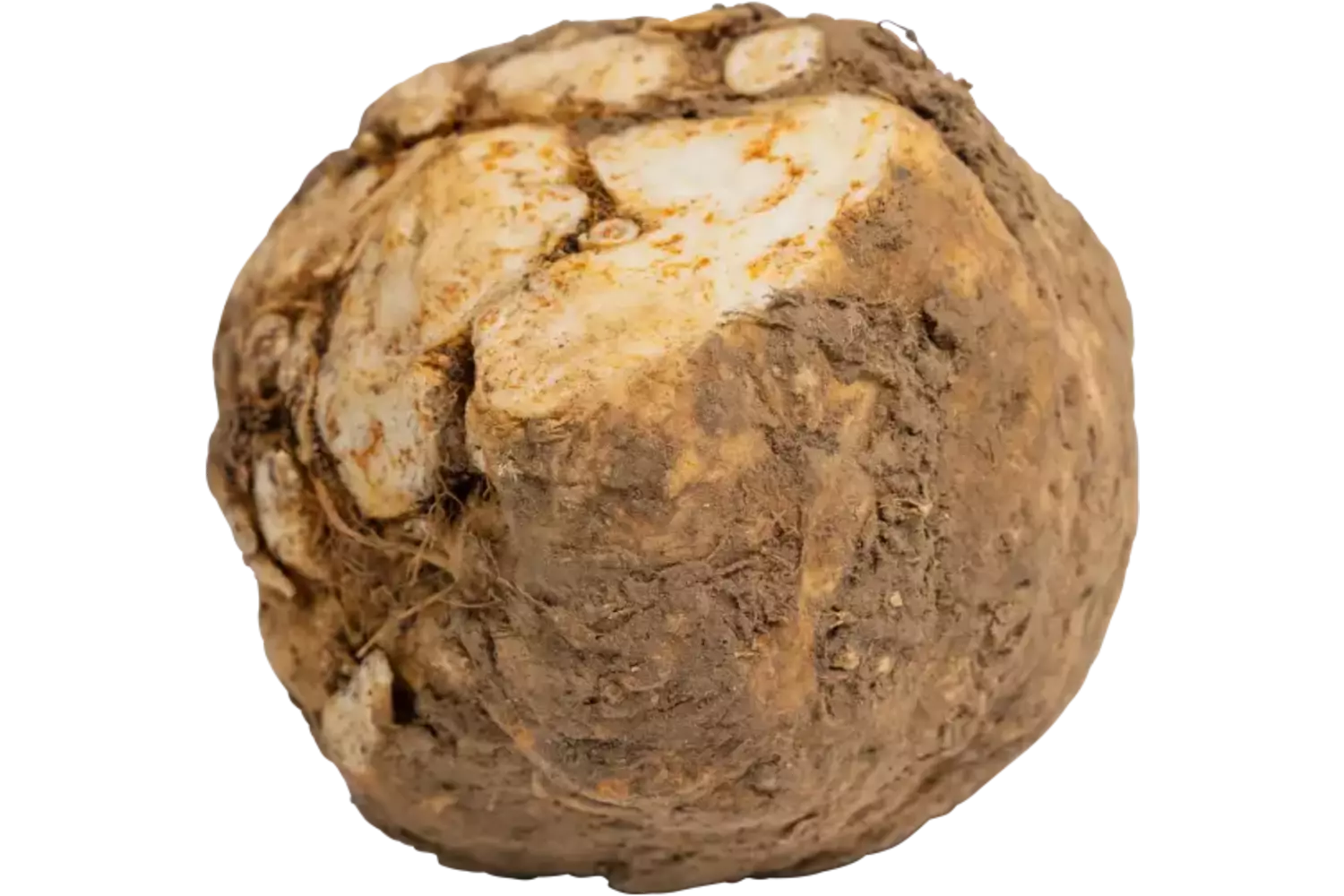 Mini knolselderij met lof stuk 1